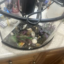 6 Gallon Fish Tank