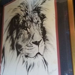 Lion black and white drawing