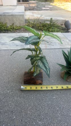 Artificial Plants For Terrarium Or Any Decor
