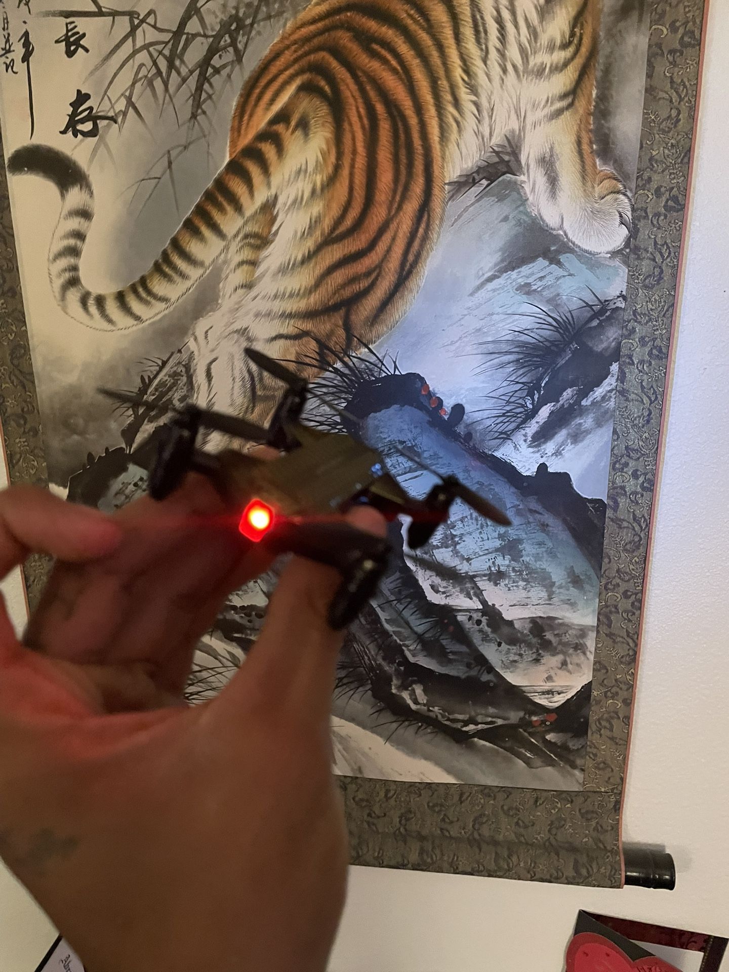 Mini Drone
