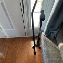 Walking Stick