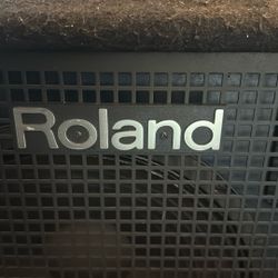 Roland Guitar Speaker 