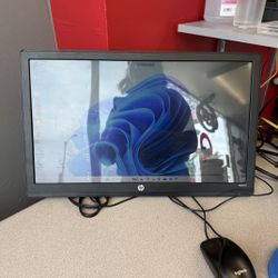 HP w2071d 20-inch LED Monitor (Model A3M48AA)