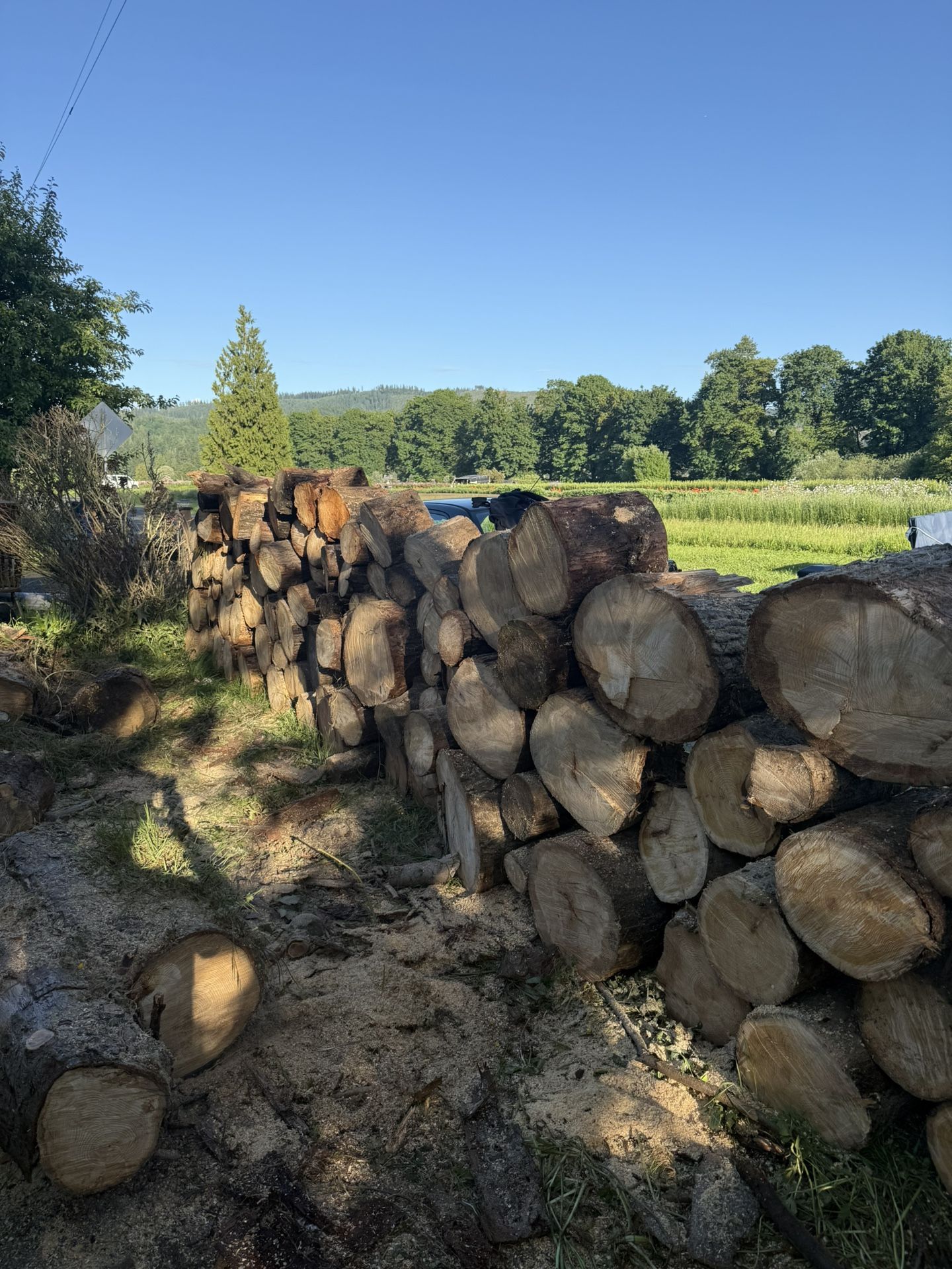 Firewood