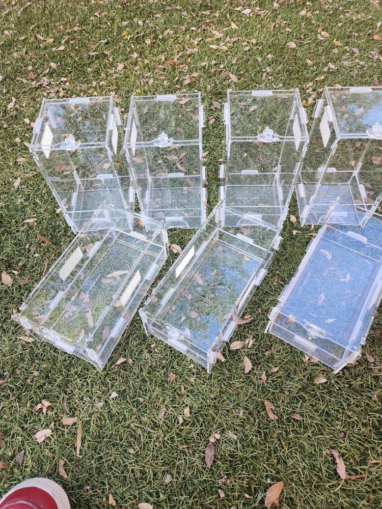 Small Zilla Acrylic Enclosures
