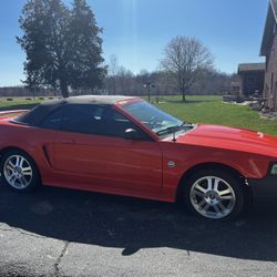 2004 Ford Mustang