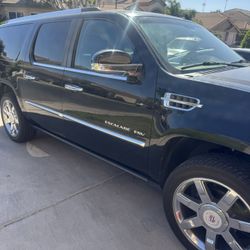 2010 Cadillac Escalade   