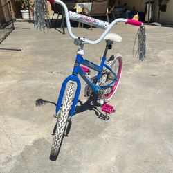 Bicycle Girls Huffy 