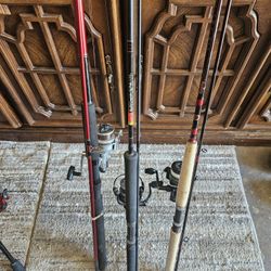 Three Fishing Poles With Reels 