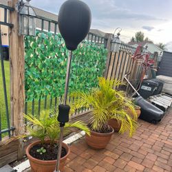 Everlast core reflex boxing bag 