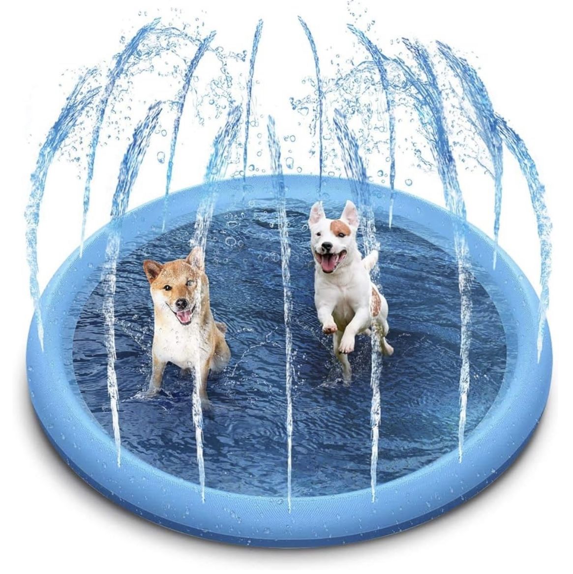Dog Splash Pad