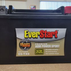 EverStart ES-TX9 Battery 