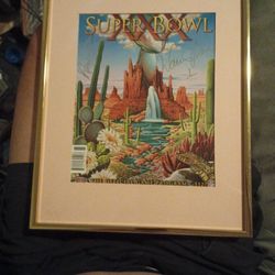 Autograph Superbowl Program 