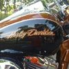 Screaming Eagle