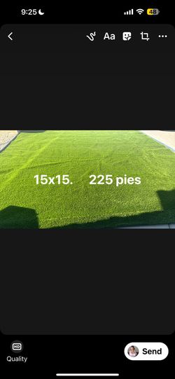 Zacate Nuevo En Venta  Aquí Deje Fotos Y Tamaños 