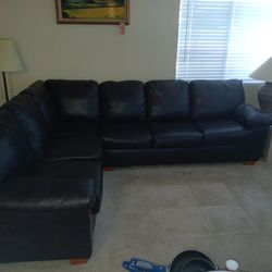 Dark Brown Leather Couch