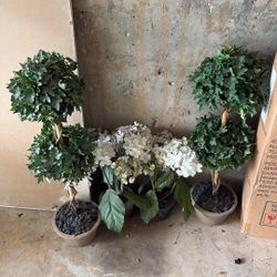 Free Decorative Plants 4 Total 