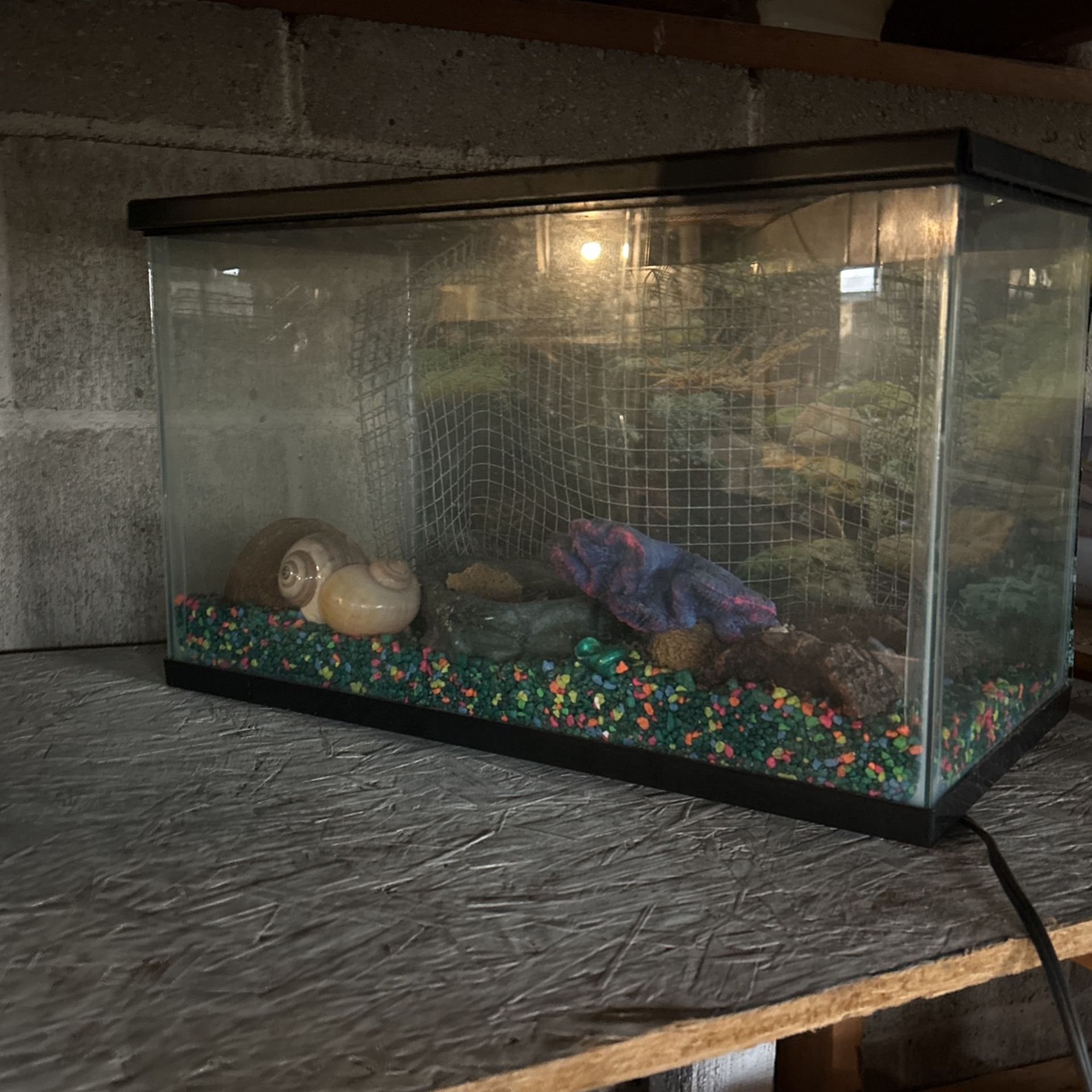 Hermit Crab Tank