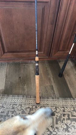 Daiwa arid coastal rod