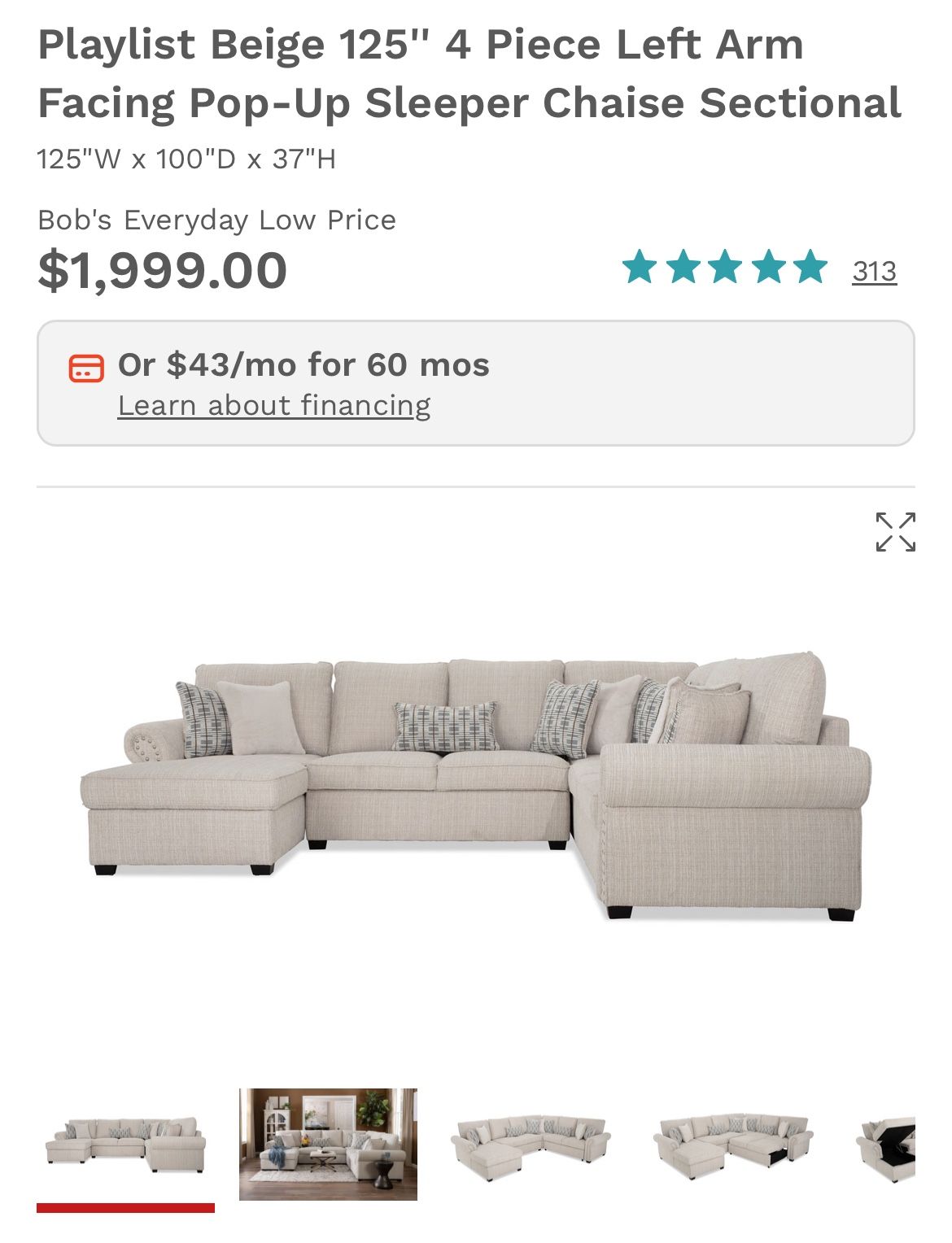 Sectional Couch