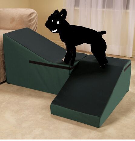 DR Foster and smith Dura Ruff pet ramp!