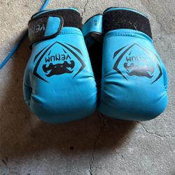 12oz Boxing Gloves 