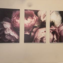 Pink Peonies Art 