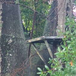 Portable Hunting Tree Stand 