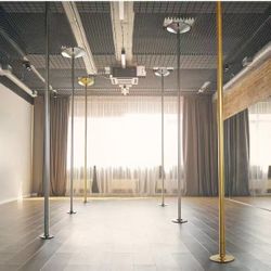 Professional Dance Pole 