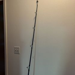 Abu Garcia Saltwater Fishing Rod