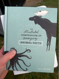 Illustrated Compendium of amazing Animal Facts and Illuminated Letter Sketch Pom