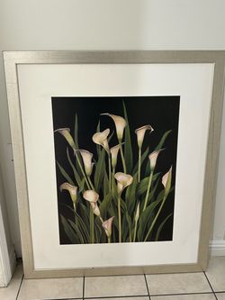 Framed Calla Lily Floral Wall Art