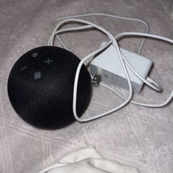 Alexa Dot Echo