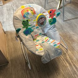 Baby Bouncer 