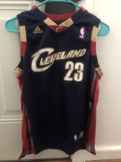 Vintage Lebron Clevland jersey