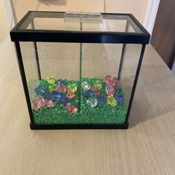 1 Gallon  Fish  Tank  or  Terrarium  Tank…