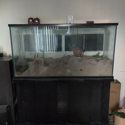 70 Gallon Fish Tank With Stand