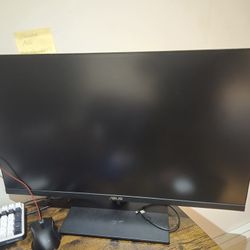 31.5 Inch ASUS Monitor 1440p
