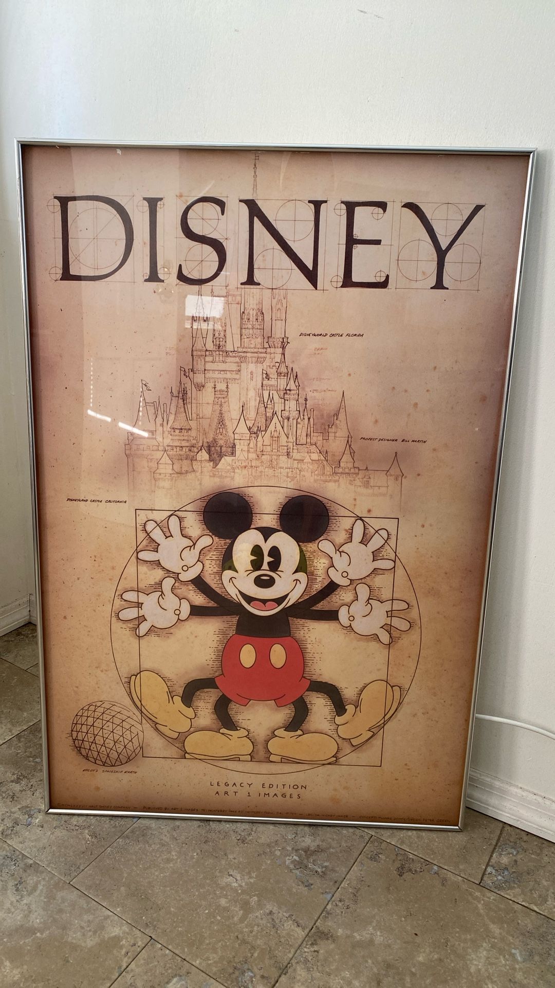Framed Under Glass Disney Art Poster