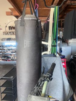 Everlast punching bag