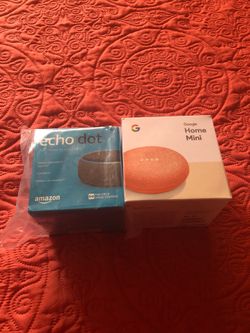 Echo dot and google home mini