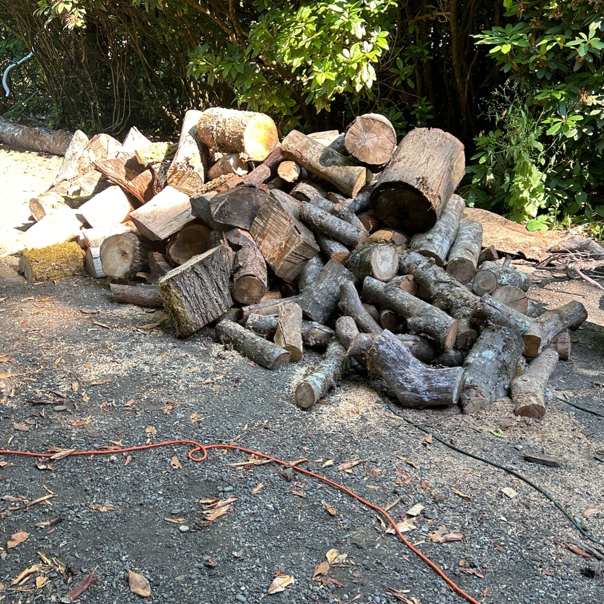 Oak Firewood 