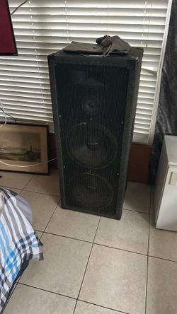 DJ Speaker