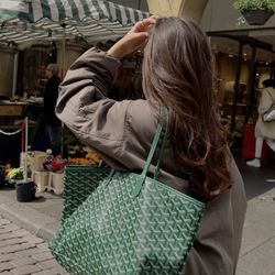 Goyard Purse Bag With Wallet 