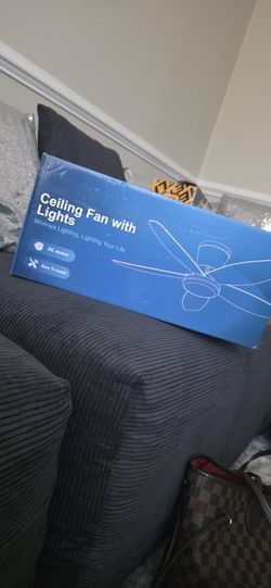 Fan Witg Lights 