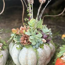 Flower Arrangement/Centerpiece/ Holiday Decor