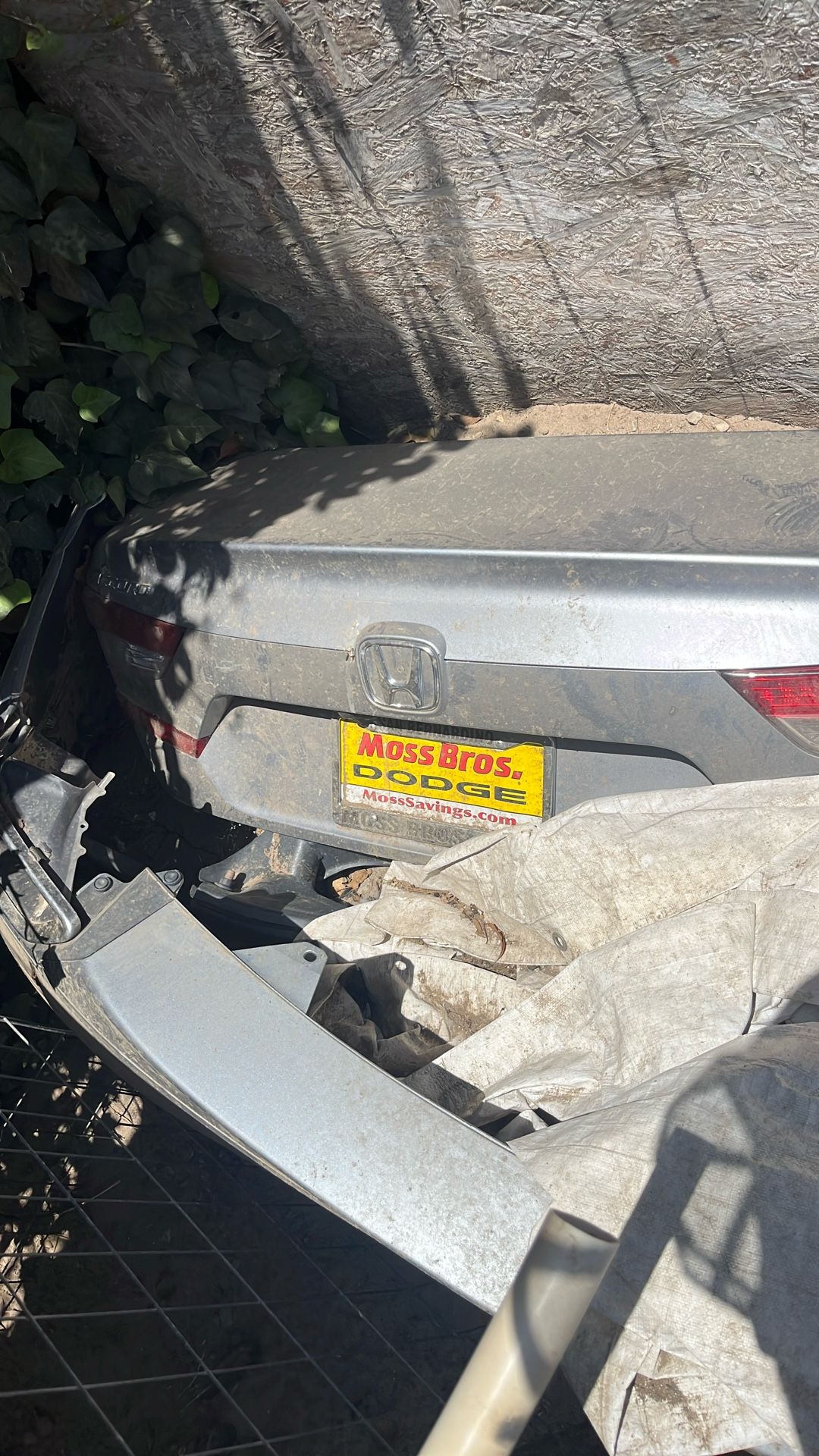 Trunk Lid Rear Bumper Rims