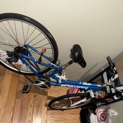 Schwinn Bicycle