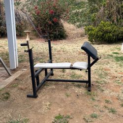 Benchpress/Bicep Curl Bench