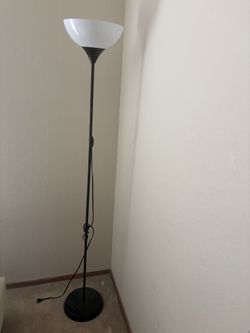 Light